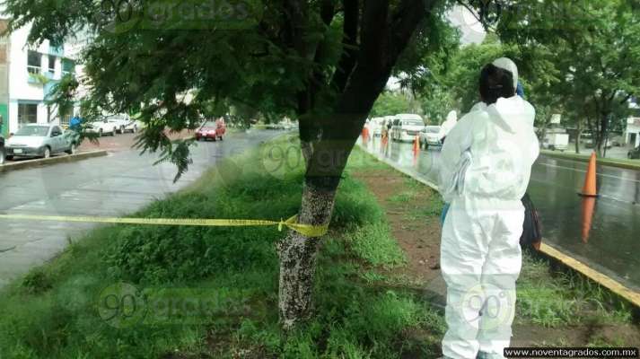 Hallan muerto a sujeto sobre el libramiento de Morelia - Foto 1 