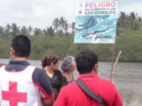 Fotogalería: Termina búsqueda de menor devorado por cocodrilo en estero de Lázaro Cárdenas, Michoacán - Foto 2 