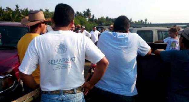 Fotogalería: Termina búsqueda de menor devorado por cocodrilo en estero de Lázaro Cárdenas, Michoacán - Foto 5 