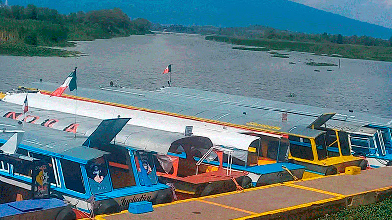 En riesgo Lago de Pátzcuaro por proliferación de huertas de aguacate 