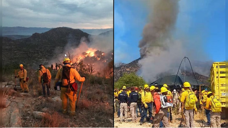 Incendios devastan 11 mil 170 hectáreas de vegetación y especies silvestres en sierra de Sonora 