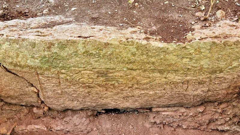 Descubren antigua ciudad maya oculta en la selva de Campeche, la nombran Ocomtúm 