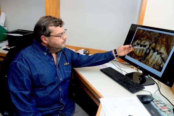 Michoacán: Servicio Arqueomagnético Nacional de la UNAM confirma el tratamiento dental más antiguo en América - Foto 1 