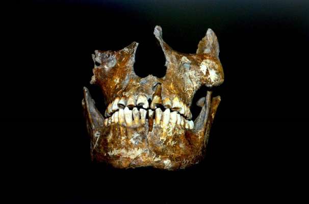 Michoacán: Servicio Arqueomagnético Nacional de la UNAM confirma el tratamiento dental más antiguo en América - Foto 2 