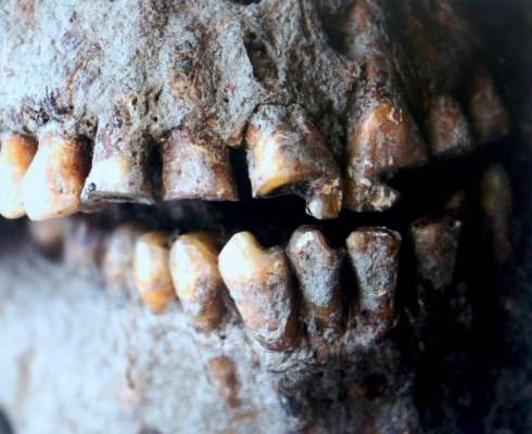 Michoacán: Servicio Arqueomagnético Nacional de la UNAM confirma el tratamiento dental más antiguo en América - Foto 3 