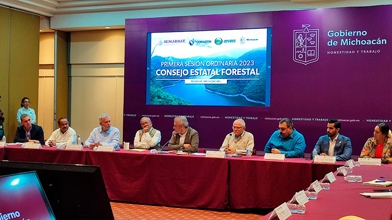 Gobierno de Michoacán ha invertido 20 millones de pesos a brigadas forestales 