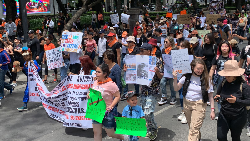 Marcha en CDMX exige fin al maltrato animal en México 