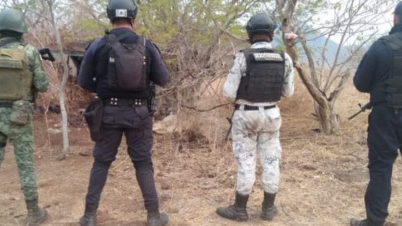 SSP, Sedena y GN desmantelan campamento clandestino y decomisan municiones en Apatzingán