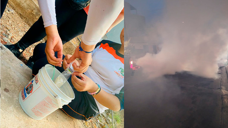  Michoacán ocupa el lugar 14 a nivel nacional en casos de dengue: Salud Michoacán 