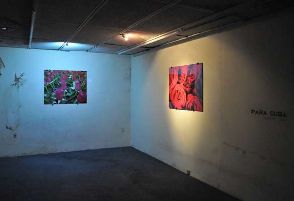Pintura, instalación, música, fotografía y escultura se fusionan en la exposición “Luce solida” - Foto 2 