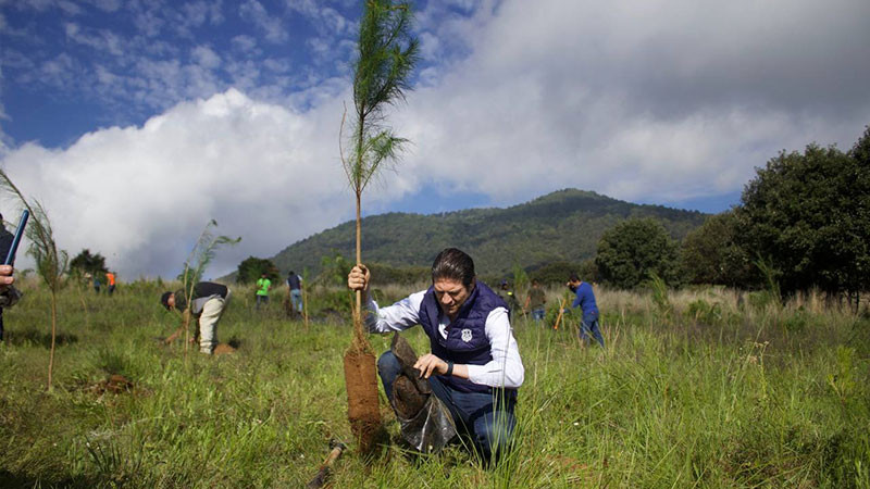   Morelia creará un vivero municipal para producir 1 millón de árboles