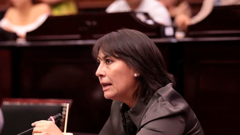 Trabajo desde Comisión de Salud y Asistencia Social, en beneficio de los michoacanos: Dip. Lariza Pérez  