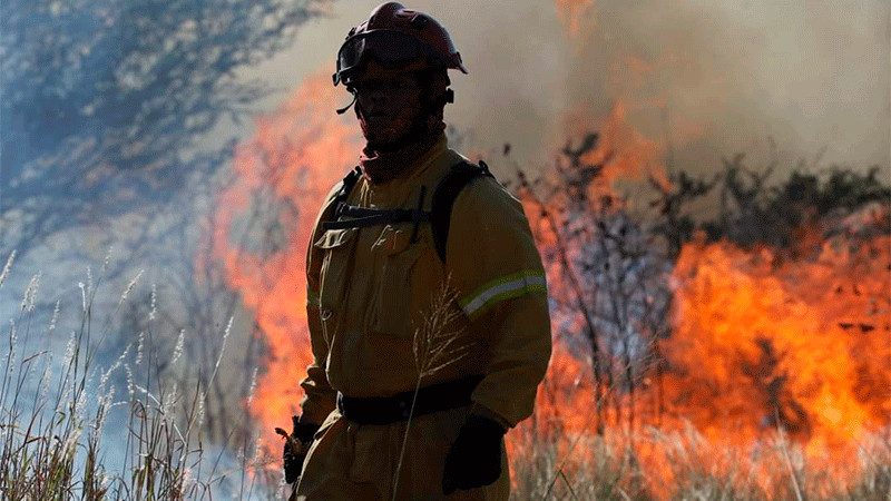 Luego de 15 días, logran controlar incendio forestal en Santa Catarina, Nuevo León 