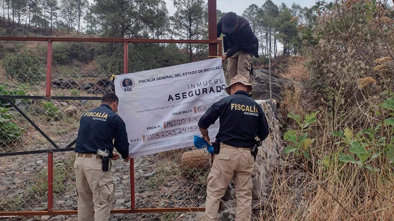 Aseguran en Ziracuaretiro, Michoacán predio talado clandestinamente para siembra aguacate
