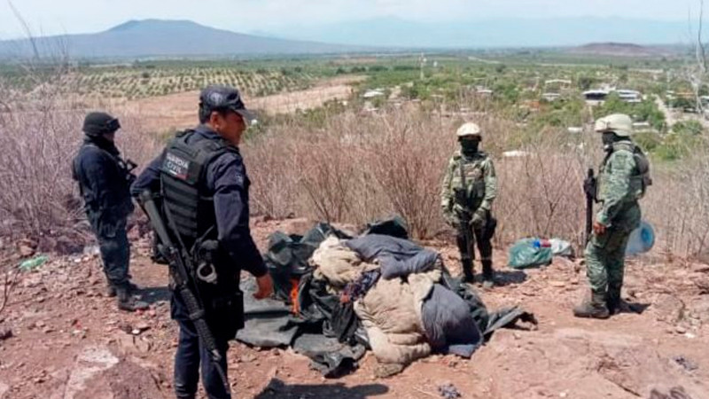 Elementos de la Sedena, GN y GC, destruyen campamento de actividades ilícitas, en Michoacán 