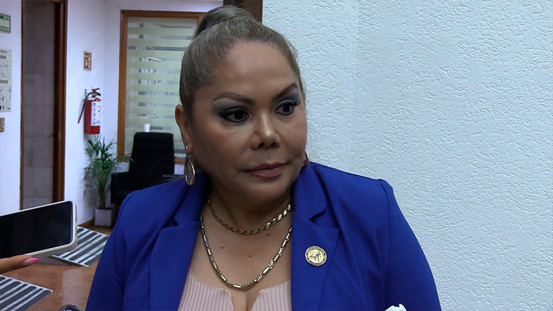 Titular de SSP acudirá el próximo martes ante el Congreso del Estado de Michoacán 