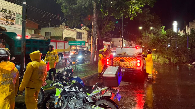 Saldo blanco en Morelia tras fuertes ráfagas de viento del martes 