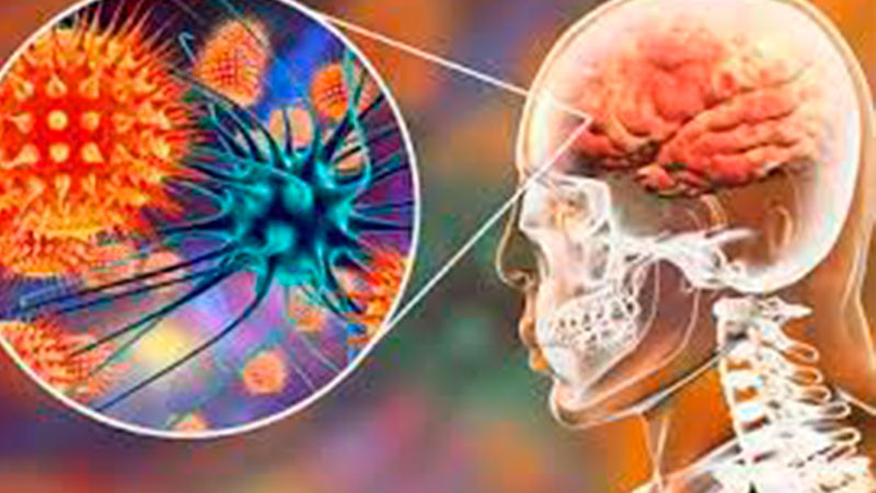 Suma 8 muertes por casos de meninguitis en Tamaulipas 