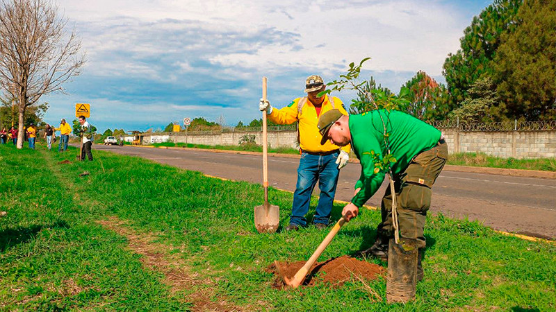 Arranca Programa de Reforestación y Arborización Urbana en Uruapan
