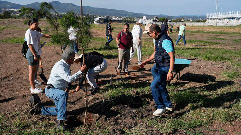 En equipo, personal de la UMSNH reverdece Ciudad Universitaria