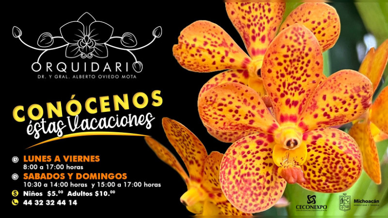 Descubre la magia del Orquidario de Morelia estas vacaciones 