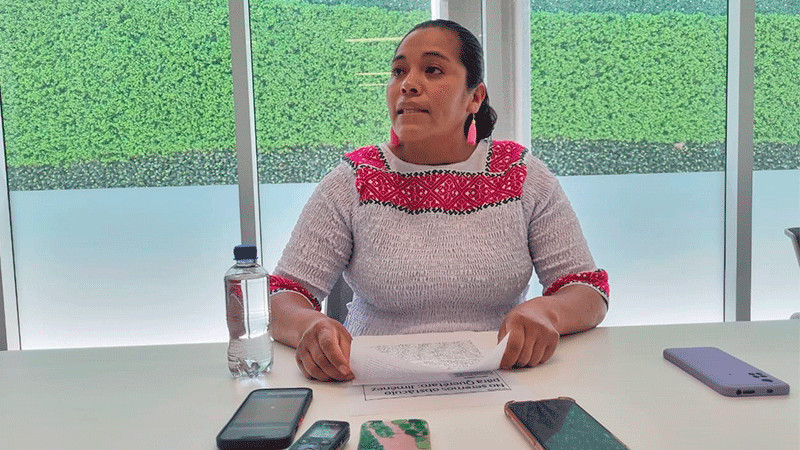 Diputada de Querétaro desconoce a su dirigente partidista  