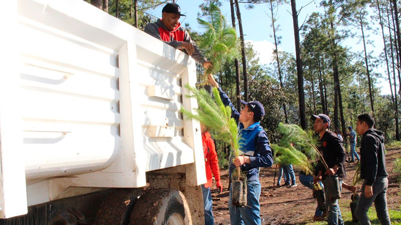 Gobierno Municipal de Morelia reforesta segunda etapa de bosque rescatado