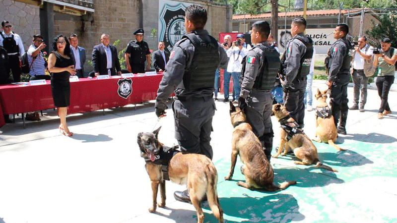 Dona Sistema Penitenciario de Michoacán elementos caninos a Comisión de Búsqueda de Personas 