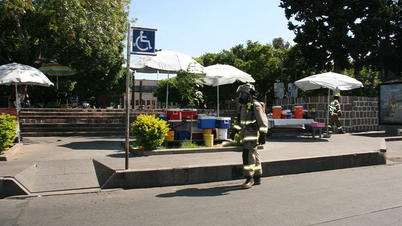 Seis personas con picaduras de abejas en plaza publica de Morelia