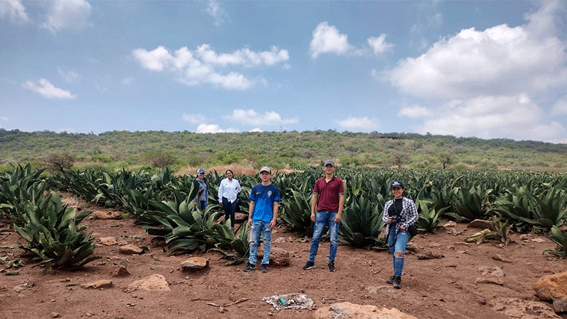 Colabora AgroSano en reordenamiento de plantaciones de agave tequilero