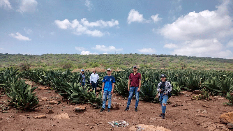 Colabora AgroSano en reordenamiento de plantaciones de agave tequilero