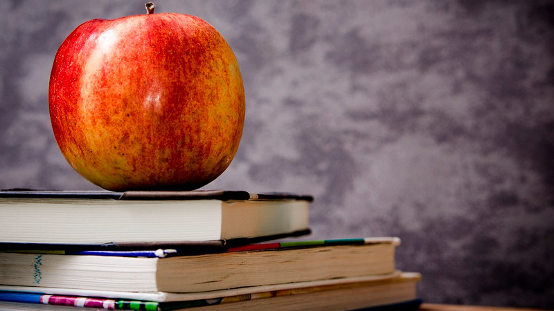 Califica SEP como "utopías democráticas" a personajes y movimientos revolucionarios, en libros para docentes 