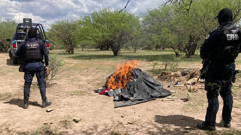 Detienen a 5 personas en Zacatecas y desmantelan campamento criminal 