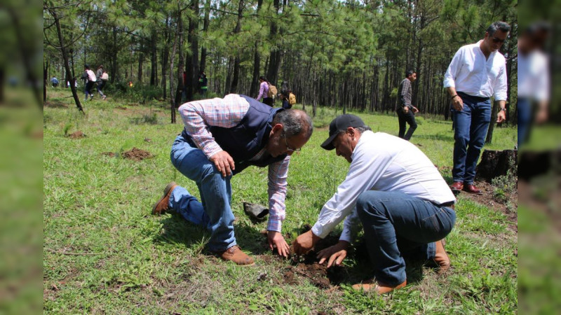 José Luis Téllez Marín participó en la plantación de 2 mil pinos, en el marco del Día Mundial del Árbol y el mes del bosque