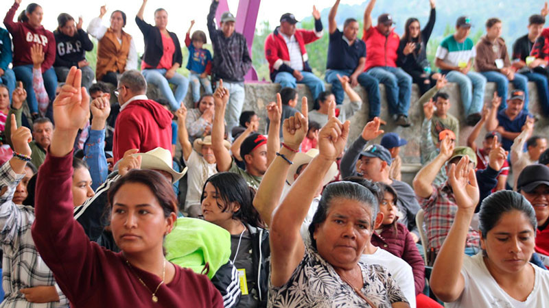 Se realiza con éxito consulta en la tenencia indígena de carpinteros en Zitácuaro: IEM