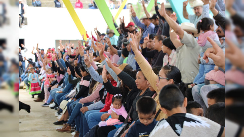 Se realiza con éxito consulta en la tenencia indígena de carpinteros en Zitácuaro: IEM