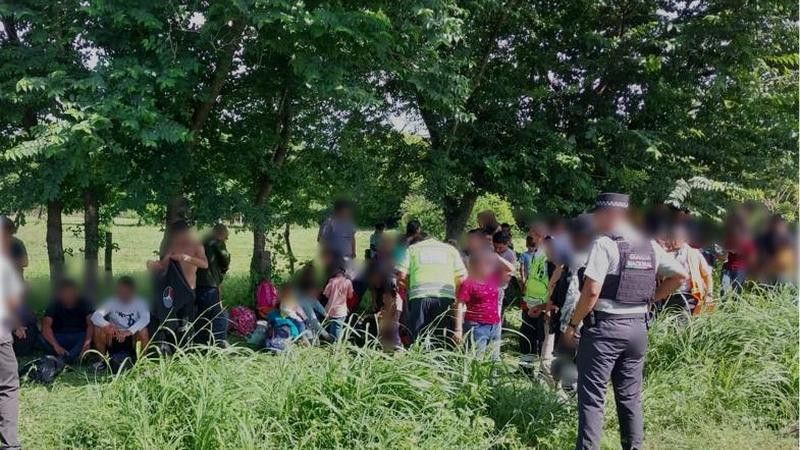 Hallan a 256 migrantes abandonados en Veracruz en tres operativos diferentes 