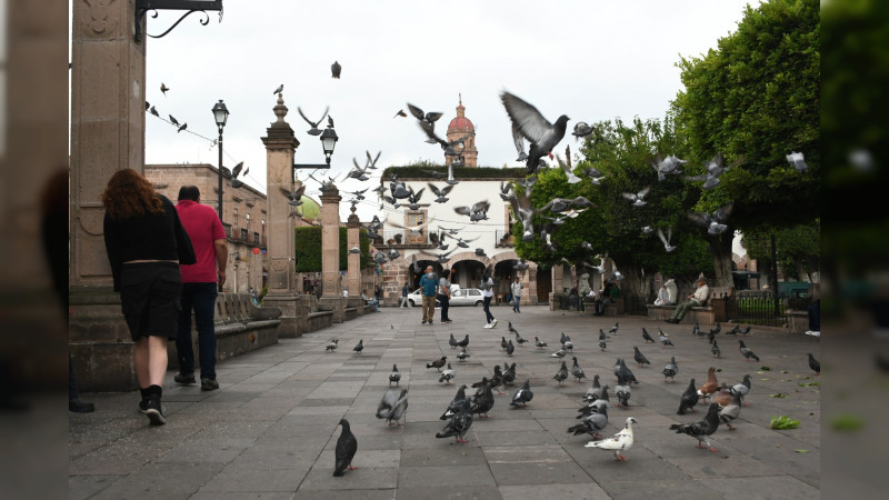 Morelia, ciudad que encanta a turistas y visitantes