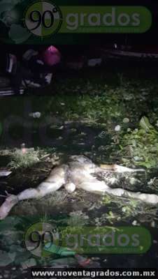 Localizan dos cadáveres en lago, en Cojumatlán de Regules, Michoacán - Foto 2 