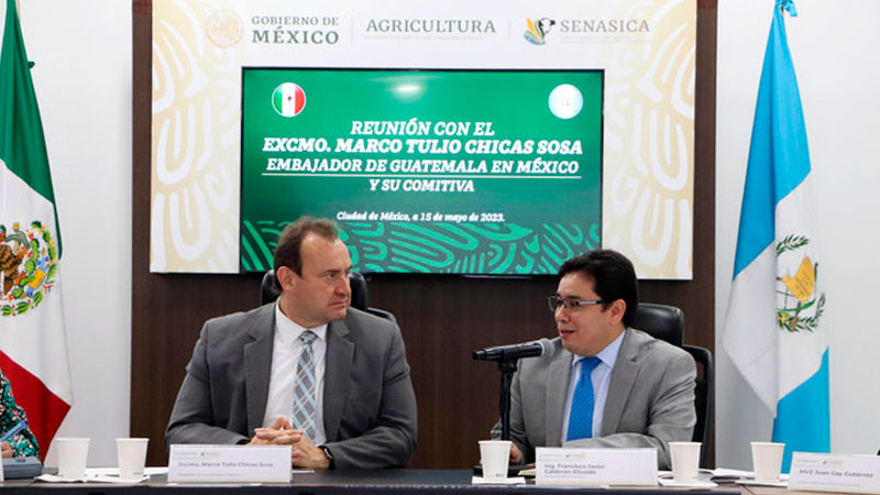 Guatemala, socio estratégico para abasto de alimentos en la región: Agricultura 
