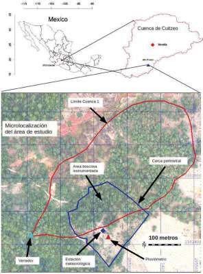 Científicos nicolaitas estudian la relación entre precipitación pluvial y comunidades vegetales 