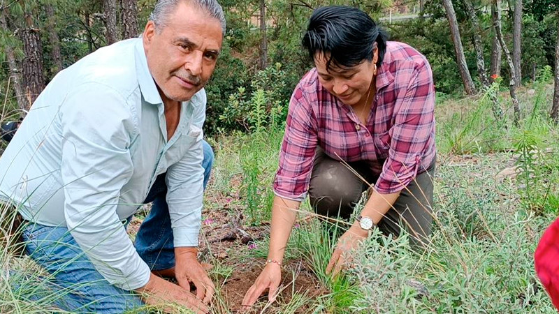 Gobierno Municipal de Cd. Hidalgo reforesta un predio de media hectárea con 500 árboles 