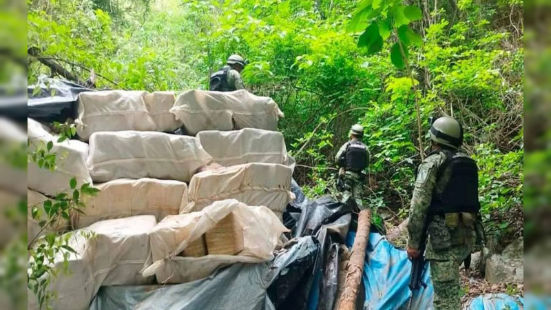 Sedena decomisa 225 paquetes con droga en la Costa Grande de Guerrero 