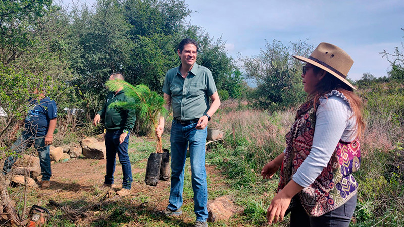 Encabeza Alfonso Martínez reforestación y crea un nuevo bosque en Morelia