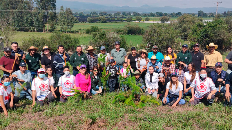 Encabeza Alfonso Martínez reforestación y crea un nuevo bosque en Morelia