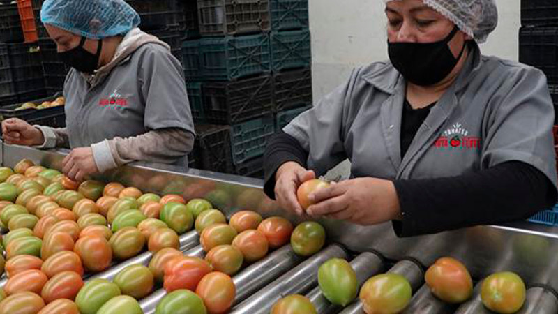 PIB de México registra crecimiento del 0.9% en el segundo trimestre de año  