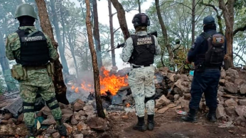 Fuerzas de Seguridad destruyen campamento ilícito, detienen a uno y aseguran armamento, en Coalcomán