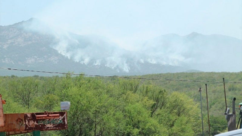Conafor apaga incendio en “Cerro del Diente” en Tamaulipas 
