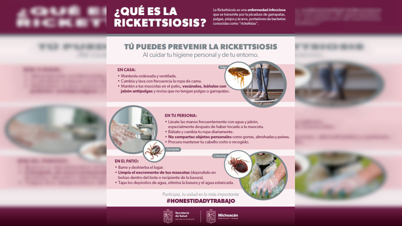Sigue estas recomendaciones de la SSM para prevenir la rickettsiosis 