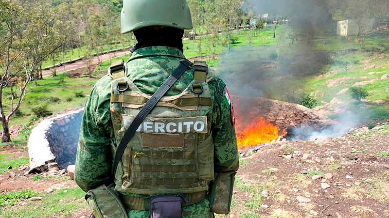 Incineran más de 341 kilogramos de sustancias tóxicas aseguradas en Michoacán